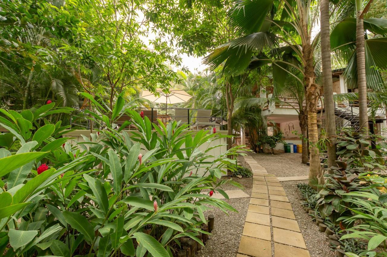 Dreamcatcher Hotel - Atrapasuenos Playa Santa Teresa  Exterior photo